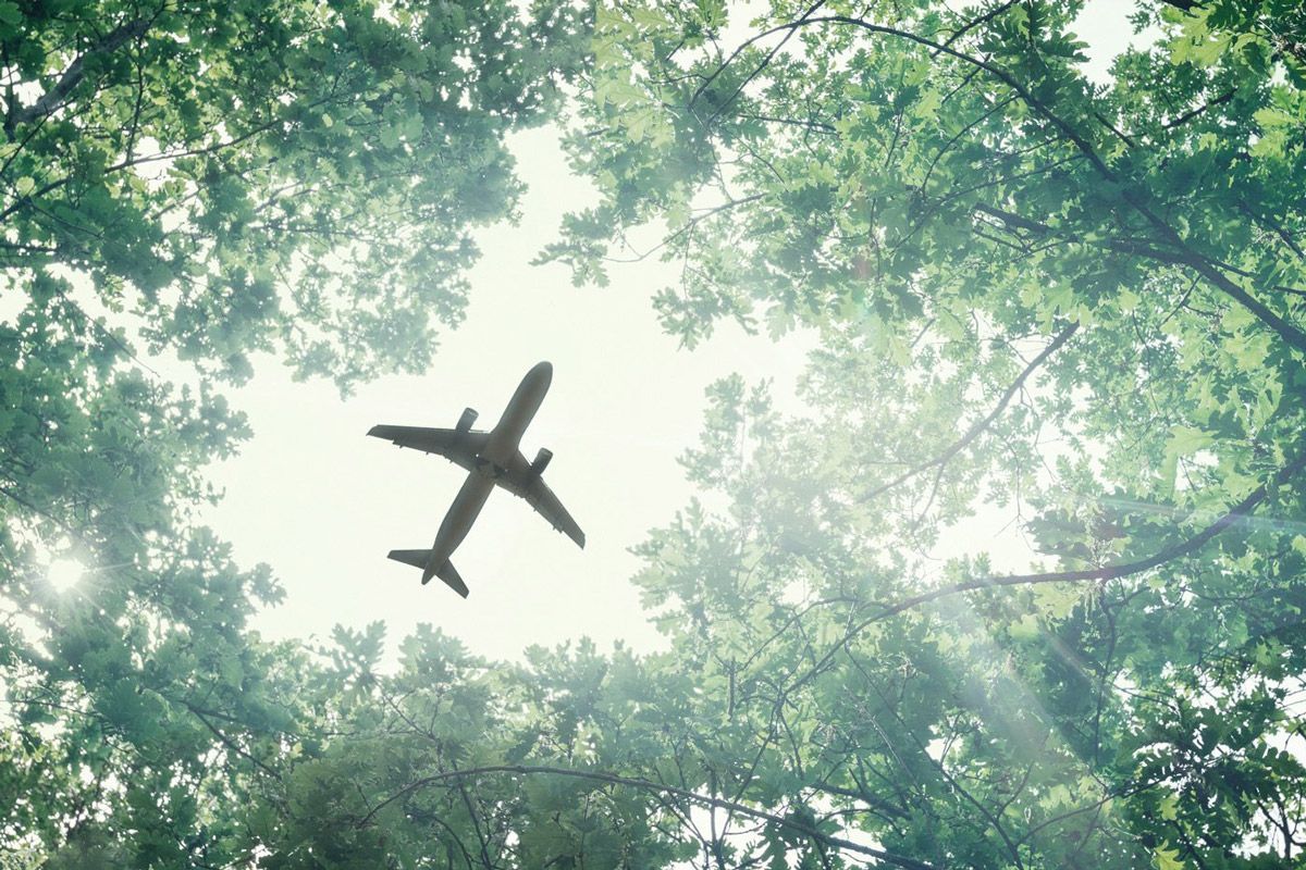 Гражданская авиация достигнет нулевых выбросов к 2050 году